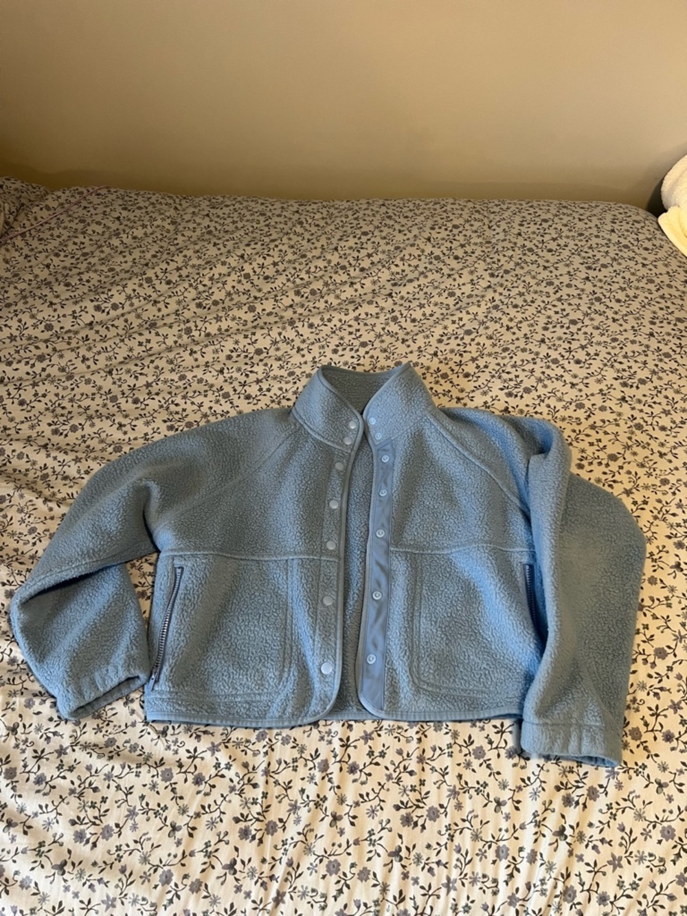 Aritzia Sunday Best Women's Sherpa Fleece Jacket - Cozy Button-Front Coat